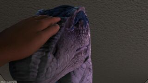 Breeding Blue?IReallyLikeTanks? - ﻿3D animation on Crohasit